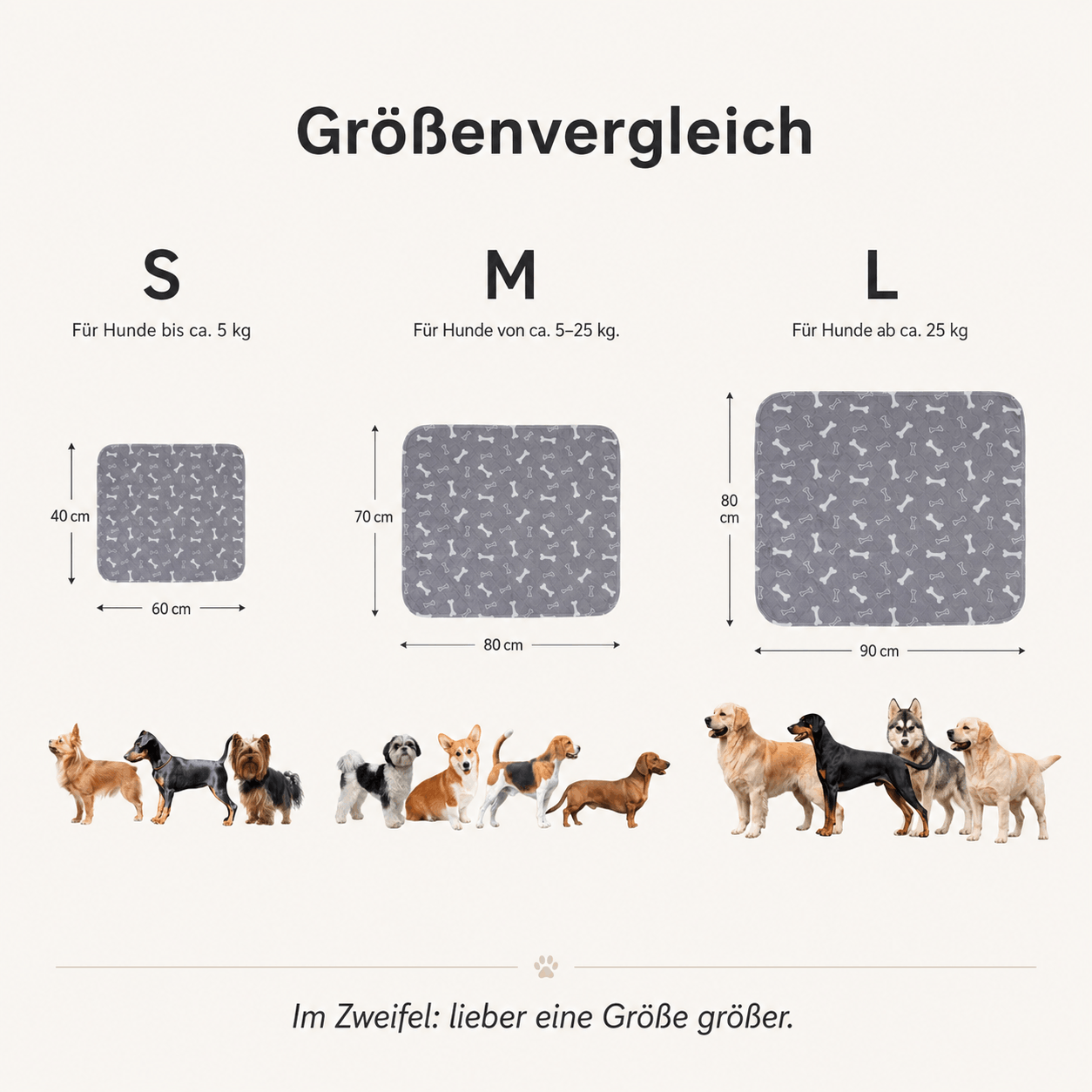 PipiFix - Das erste Pad, das er wirklich annimmt.