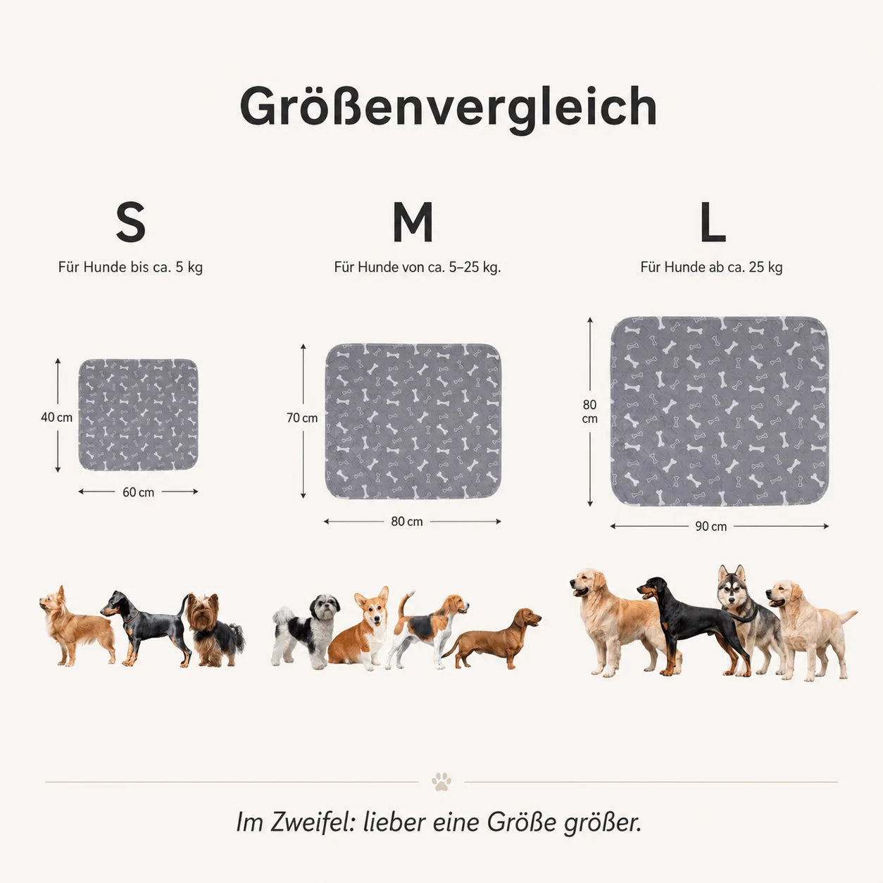 PipiFix - Das erste Pad, das er wirklich annimmt.