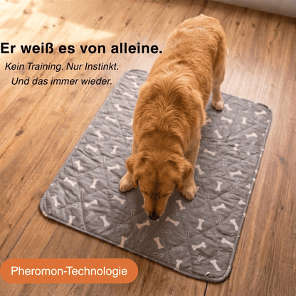 PipiFix - Das erste Pad, das er wirklich annimmt.